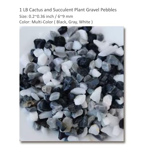 1LB Natural Gravel Pebbles, Cactus and Succulent Plants Pebbles, Small Decorative Polished Stones, Mixed Color River Rocks for Potted Plants, Vases, Aquariums, Terrarium and Outdoor Gardening - color: 1LB Mixed Color