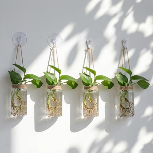9 Sets Window Hanging Propagation Stations 3.54'' Plastic Propagation Vases with Suction Cup & Traceless Nail, Propagated Plant Holder Wall Jars for Office Home Garden Decoration Lover Gift
