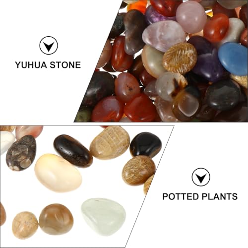 Pack Polished River Rocks Gravel for Aquarium Succulents Bonsai Planters Outdoor Landscaping Decorative Natural Pebbles for Walkways Fountains and Crafts