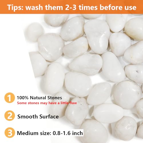 HappyFiller Natural Decorative White Pebbles Polished Rocks Stones for Aquarium Gravel,Fish Turtle Tank,Outdoor Indoor Succulents Plants Top Dressing,Graden Landscaping,2 LB - color: White