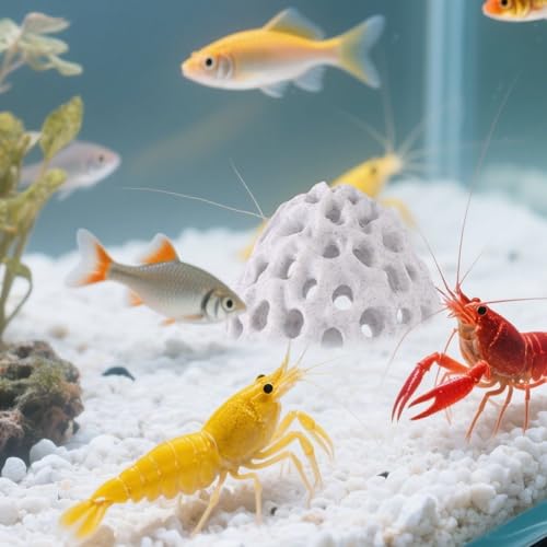 Penitue 2pcs Shrimp Hides for Aquarium, Multi-Hole Shrimp Dome Hide House with Suction Cup Coral Design Betta Fish Toys Fish Tank Accessories for Guppy and More Hiding Resting (White)