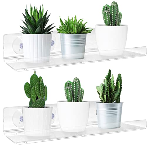 2 Pack Suction Cup Window Shelf for Plants 16 Inches, Clear Acrylic Indoor Plant Shelf Window Ledge Garden Sill Extender for Micro Greens, Seed Starter Pots, Herb Planters - size: 16 Inch- 2 Pack