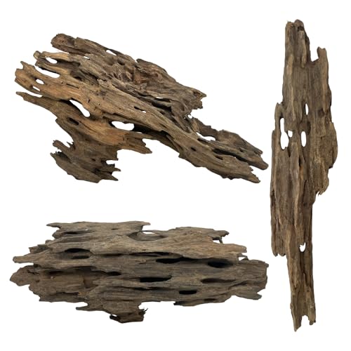 3 Pcs Natural Honeycomb Wood 8-12", Porous Aquarium Driftwood, Cholla Wood Shrimp Shelter Breeding Cave, Shrimp Dragon Wood for Fish Tank, Aquascaping, Reptile, Terrarium Decor