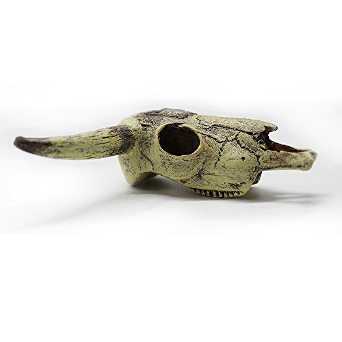Leoyoubei Aquarium Decoration, Fish Tank Small Skull,Fish Turtle Hidden, Bonsai beautification. Cave Landscape Pet Reptile House Shrimps & Snails Love Them (Cattle Skull)