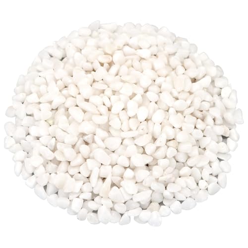 Landscaping Pebbles,River Rocks,Decorative Ornamental Pebbles,Garden Landscaping Stones,Gravel Filler for Home Decoration Flower Bed Fish Tank Plants Vases Succulents (1, White, 1 Pound) - color: White, size: 1 Pound