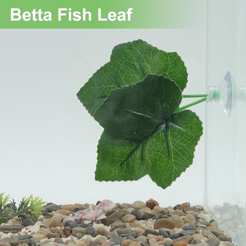 Betta Fish Leaf, Natural Habitat Simulation for Betta Spawnings Grounds, Betta Spawnings Leaves, Resting Bed, Double Maple Leaves, Deep Green