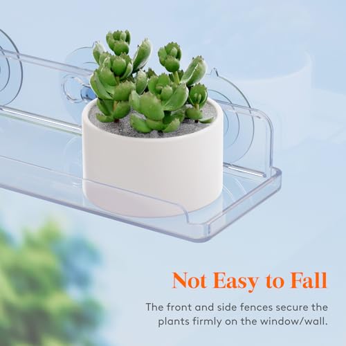 Lifewit Window Plant Floating Shelves 14.6x3.6, 2 Pack Acrylic Suction Cup Shelf, Window Sill Extender for Indoor Succulent Plants, Micro Greens, Seed Starter Pots, Herb Planters 37 x 9 cm/14.6x3.6