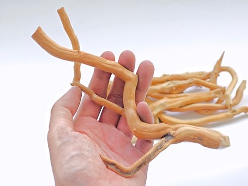 Azil Natural Driftwood Root Mix (5 pcs) – 100% Natural Driftwood for Aquarium, Reptiles, Terrariums, Vivariums, Aquascaping & Planted Tanks (Size: 7″–10″ / 17.8–25.4 cm) - size: root mix 7'' - 10''