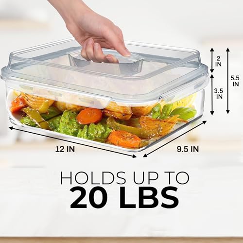4800 ML / 163 oz / 21 Cup LARGE Glass Food Storage Container with Airtight Locking Lid. Ideal Storing food, Vegetables, Fruits. Baking Casserole, Lasagna, Roasting Turkey, Chicken BPA Free Oven Safe - size: 4800 ml