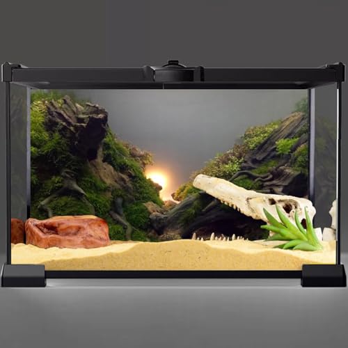 AWERT River Bed & Lake Aquarium Background Sunshine Aquatic Plant Fish Tank Background Vinyl 36x18 inches - size: 36x18in/90x45cm