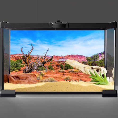 AWERT 36x20 inches Reptile Habitat Background Blue Sky Oasis Orange Desert Terrarium Background - size: 36x20in/90x50cm