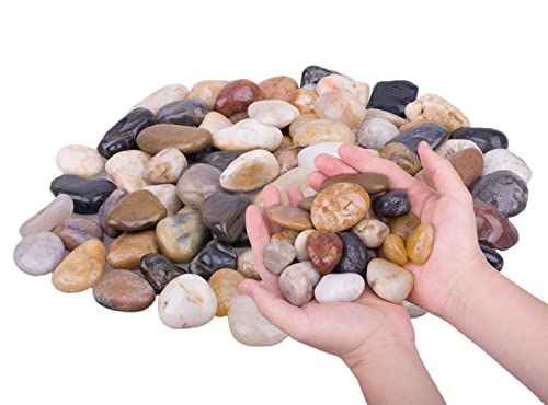 3.0 lb Mixed Color River Rock Stones 1~1.5", Natural Decorative Highly Polished Pebbles, Indoor Decorative Stones for Plant, Aquariums, Landscaping, Garden Flower Bed, Vase Fillers - size: 3.0 LB