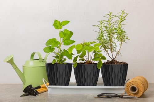 6 Inch Plant Pots, 6 Pack Indoor Flower Pots, Planters with Drainage Holes and Trays for Orchids, Violets, Succulents, Herbs, and Other Plants, Black - color: Black, size: 6inch