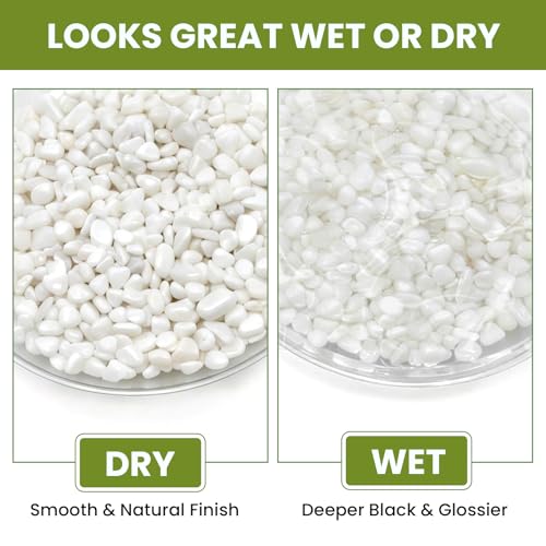 3/8 Inch Polished Decorative Pebbles, River Rocks for Indoor Plants, Succulents, Planters, Vases, Fish Tank, Aquarium Gravel & Landscaping, Snow White, 12LB - color: White, size: 12LB