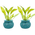 Aquarium Plant Pot Holders, Aquatic Plant Holder, Securely Hold Aquatic Plants, Promoting Healthy Root Growth, Fish Tank Aesthetic (Set of 2 (Cyan)) - color: Set of 2 (Cyan)