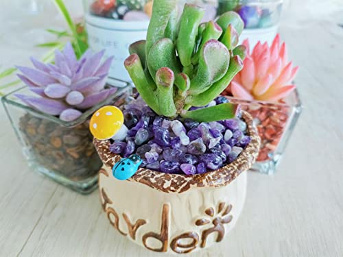 ZHIYUXI Amethyst Crystal Chips Fish Tank Gravel Vase Filler Stones Crushed Crystals Gemstone Polished Healing Crystals Natural Quartz Stone 0.44lbs - color: C# Amethyst, size: 0.44 Pound