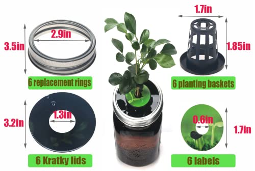 Kratky Lid Wide Mouth Hydroponic Lid Kratky Mason Jar Lid Urban Aquaculture Kratky Lid Insert with Urban Aquaculture Pods Includes 6 Kit (Black Version) (Black 24)