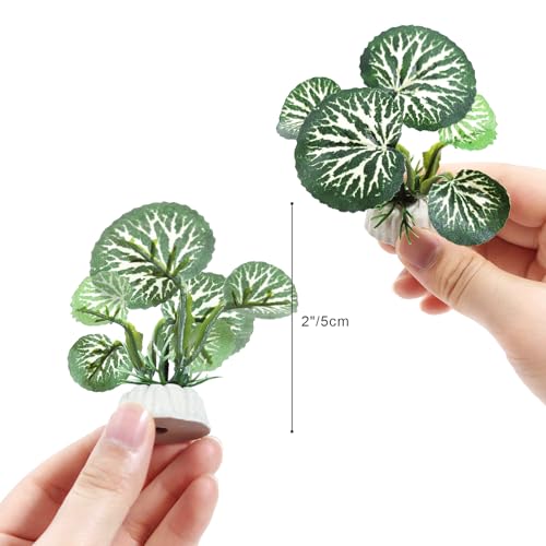 Fish Aquarium Decorations Cave Hide with Viewing Window for Betta Fish Tank Decor - color: Green 3