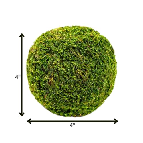 SuperMoss (21648) Moss Ball, Fresh Green, 4" - color: Fresh Green, size: 4"