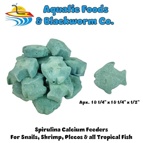 Spirulina Enriched Calcium Feeders for Shrimp, Snails, Crabs, Crayfish, Pleco, Catfish, All Tropical Fish…25 Count Bag