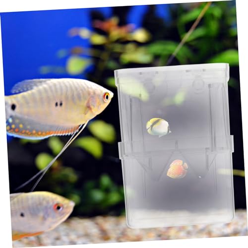 VICASKY 4Pcs Small Fish Tank Isolation Boxes Suction Cup Breeding Container for Guppy Hatching Easy to Install and Clean Compact Design for Safe Fish Acclimation and Isolation