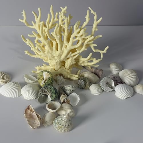 Fish Tank Decorations,Aquarium Corals Decoration, Aquarium Ornaments, Fish Tank Coral, Aquarium Corals Decoration, Fish Decorations for Aquarium (Yellow, Medium) - color: Yellow