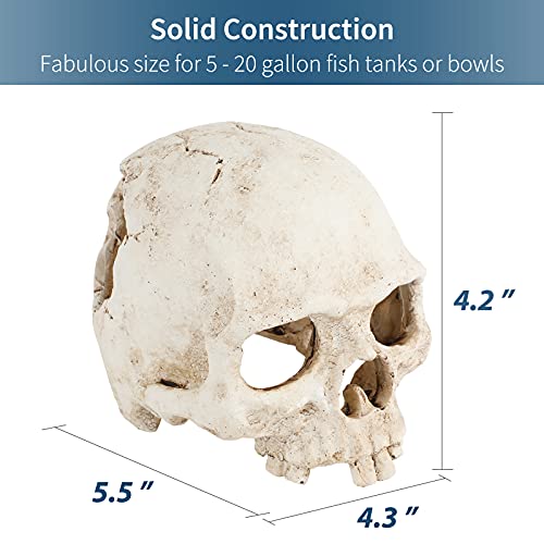 Uniclife Aquarium Skull Reptile House Decor Resin Head Skeleton Ornament for Tank Landscape Decorative Hideout Cave Shelter for Small Fish Shrimp Snail Gecko Spider Lizard in 5-20 Gallon Fish Tank