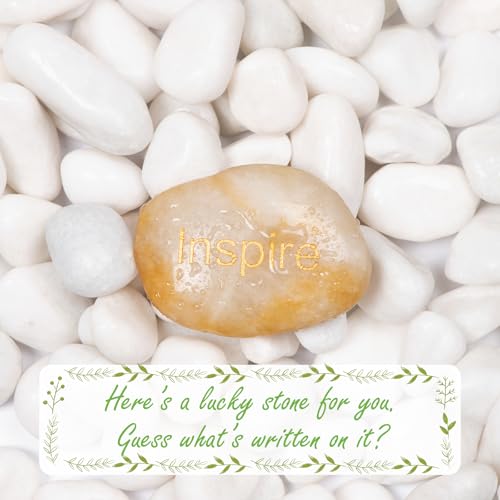 11lbs White Natural River Rocks, Polished Pebbles for Plants Garden, 1-2 inch Decorative White Stones, Ideal for Fish Tank, Vases, Crafting, Home Decor and Garden Landscaping Rocks,White - size: 11 Pounds, style: Snow White