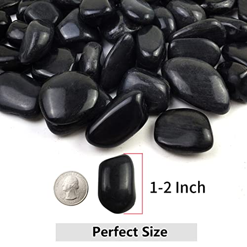 YISZM 20lbs Black Pebbles for Plants, 1-2 Inch High Polished Natural River Rocks for Landscaping, Decorative Stones Vase Filler Fish Tank Aquariums Garden Outdoor and Indoor DIY - color: Black, size: 20 Pounds
