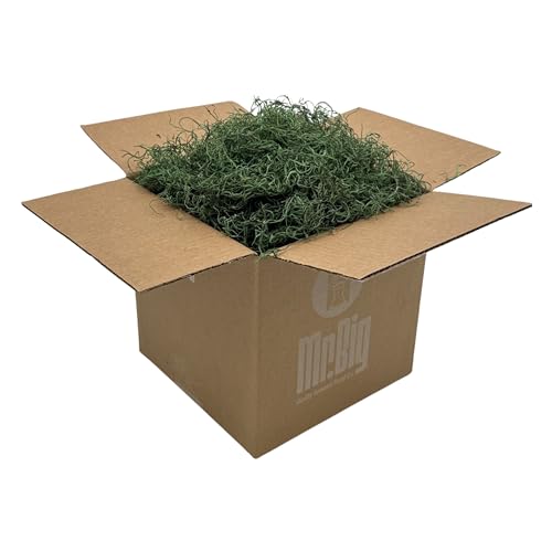 Preserved Spanish Moss - Decorative Dried Moss for Crafts, Home Decor, Art, Design & DIY Projects - for Indoor Use - Forest Green - Standard Box - Covers 10-12 sq. ft. - color: Forest Green, size: Large