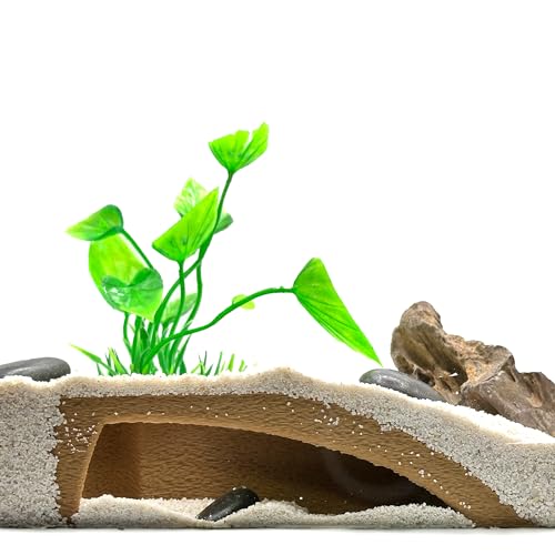 CTWPets Natural Aquarium Tunnel Cave | Shrimp Hide Cave (Black)