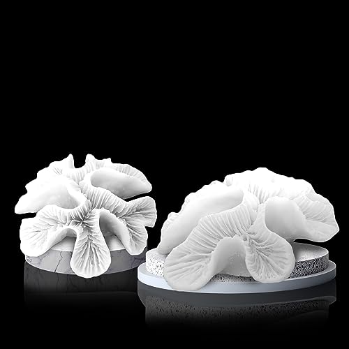 Tirifer Pack of 2 White Coral Decor, White Coral Reef, Faux Coral Decor Faux Coral Decor Resin Coral Décor Beach Home Ornaments for Beach House Decorative Coral Pieces for Aquariums Fish Tanks