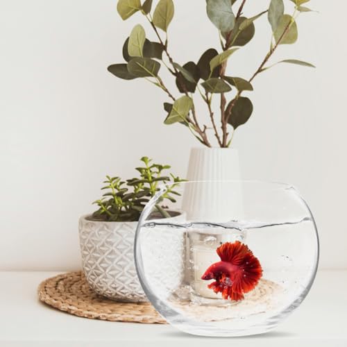 Baluue Round Glass Fish Bowl 5.90In Clear Bubble Vase Terrarium Planter for Hydroponic Plants Flower Display Home Office Decor Compact Size - size: 15.00X15.00X10.00CM
