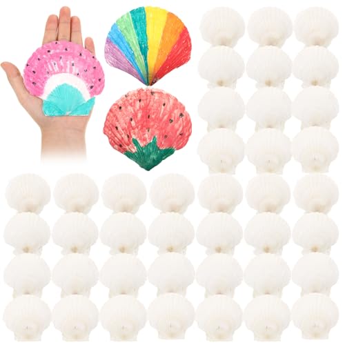 GlikCeil 50 Pcs Sea Shell for Crafting Natural Large Scallop White Oyster Shells Bulk for Decorating DIY Home Decor Beach Wedding Ocean Themed Party(3.5''-3.9'') - size: 3.5''-3.9''