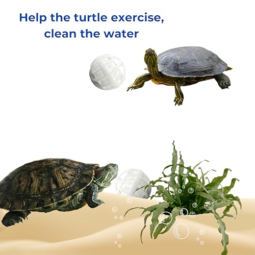 2 Packs Turtle Feeding Ring with Suction Cup and Nitrifying Balls Fish Food Holder Aquatic Toys for Turtles Tortoise Goldfish Guppy Koi Puffer Turtle Tank Accessories (Square & Circle)