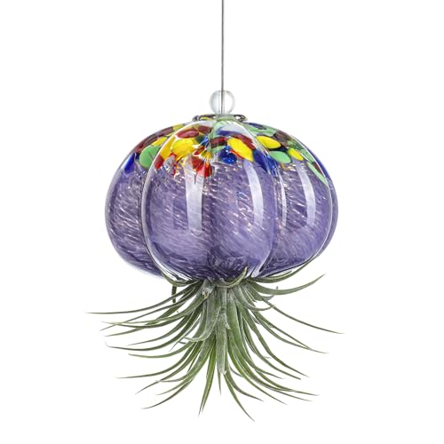 H&D HYALINE & DORA Hanging Hand Blown Art Glass Jellyfish Air Planter Terrarium Decor for Garden Porch Windowsill (No Plants) - color: Jellyfish-purple