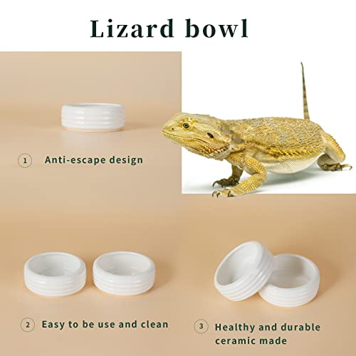 Reptile Food Bowls Ceramic Mini Round Reptile Water Food Dish, Pet Food Bowl for Lizards, Small Snakes, Young Bearded Dragons, Gecko Tortoise Spider (White, Small-2Pack)