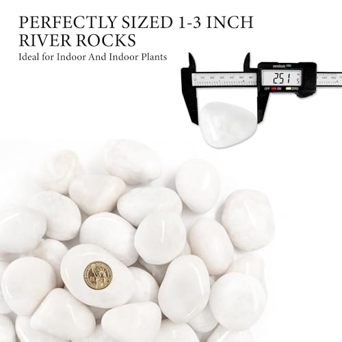 18lb White River Rocks for Plants, 1-3 Inch Pebbles for Indoor Plants, Polished Garden Rocks Outdoor Landscaping, Decorative Stones for Vases, Succulents, Aquarium, Walkways