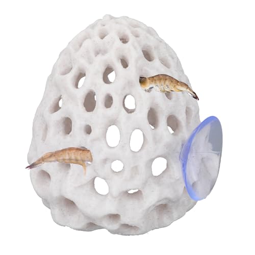 Shrimp Hides for Aquarium, Multi-Hole Shrimp Dome Hide with Suction Cup Coral Design Betta Fish Toys Fish Tank Accessories for Guppy and More Hiding Resting (White)