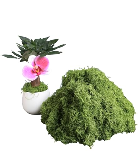 5.3oz Green Fake Moss Artificial Floral Moss Faux Plant for DIY Crafts Fairy Garden Pot Filler Vase Greenery Decorating Project Indoor Model Making Walls Glass Decor Forlaoers