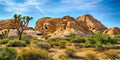Polyester 72x16 inches Joshua Tree National Park Backdrop Arid Barren Cactus Sandstone Rock Climate Mountain and Desert Scenery Backdrop Desert Terrarium Background - size: 72x16 Inches