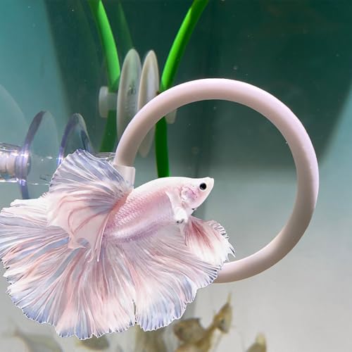 Beta Fish Aquariums Toys Set, 2 Training Rings and 1 Fish Mirror with Floating Ball, Plastic Aquarium Accessories for Fish Enrichment