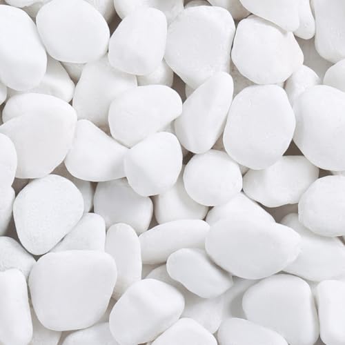 SIDONG 10 lbs White River Rocks, 1.2-2 Inches Matte Pebbles for Indoor Plants, Aquarium Rocks Used in Fish Tank, Decorative Stones for Plants, Vases, Home Décor, Crafting, Garden Landscaping - color: White, size: 10 lbs,1.2-2inch