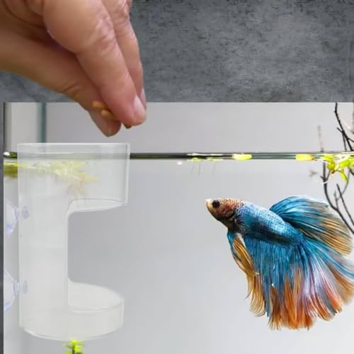 2 Pack PS Plastic Fish Feeders, Tank Feeding Tray with Suction Cup, Artemia Clear Floating Fish Tank Dish Tray, Tank Divider Supplies
