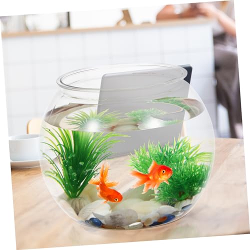 Happyyami Transparent Desktop Aquarium Tank for Betta Multi- Office Decor Stylish Fish Bowl for Plants Fish Elegant Tabletop Decoration