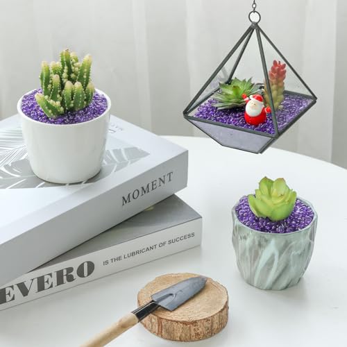 T4U Fish Tank Gravel 2 LB, Tumbled Small Rocks for Aquarium, Glass Beads for Vases, Succulent Rocks for Plants, Aquarium Gravel Decorative Pebbles for Terrarium Crafts Vase Filler, Purple - color: #14 - Purple, size: 2 LB