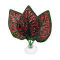 Betta Fish Leaf, Natural Habitat Simulation for Betta Spawnings Grounds, Betta Spawnings Leaves, Resting Bed, Three Leaves, Red Deep Green