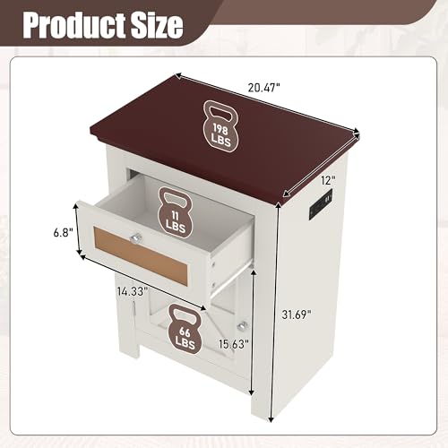 10-15 Gallon Aquarium Stand With Power Outlets, Farmhouse Fish Tank Stand, Reptile and Terrarium Stand with Drawer and Cabinet Storage, Sturdy Heavy Duty 20.4" 12",White - color: Beige brown 20.55" L