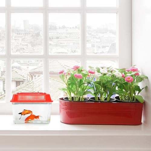 Baluue Portable Fish Tank, Handheld Fish Tank, Plastic Mini Box, Transparent Cutout Design, Plastic Aquarium with Handle for Turtle and Pet Lid for Random