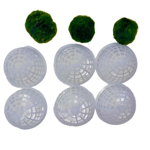 12 Pcs 80mm Extra Large Clear Sphere Moss Ball Holders, Plastic Decorative Balls for Aquarium Shrimp Tank Ornament